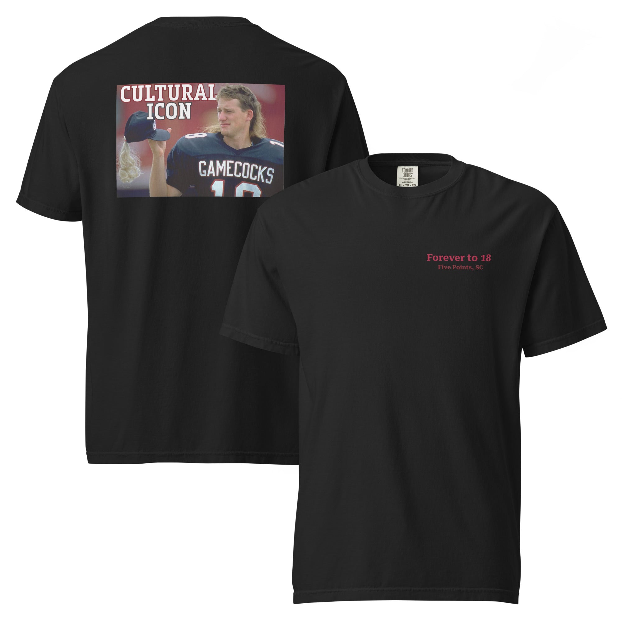 CULTURAL ICON Forever to 18 Comfort Colors T Shirt – CB18